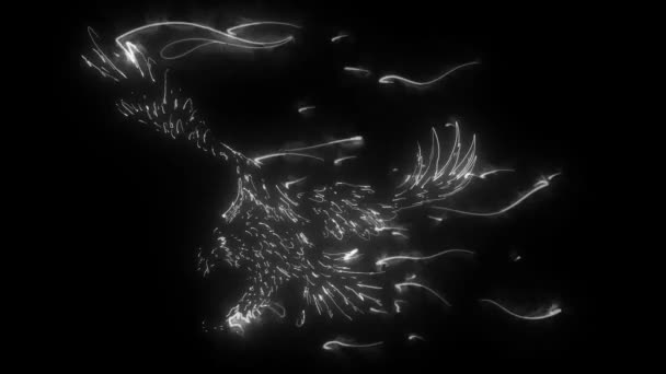 火鹰，火鹰关于黑色背景的视频用于设计 — 图库视频影像