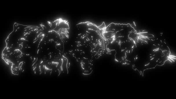 Animazione di un felino e che illumina — Video Stock