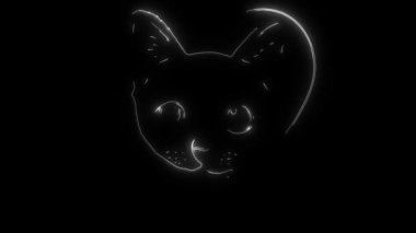 Bir kedi animasyonu ve o ışık