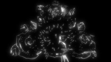 Bir kedi animasyonu ve o ışık