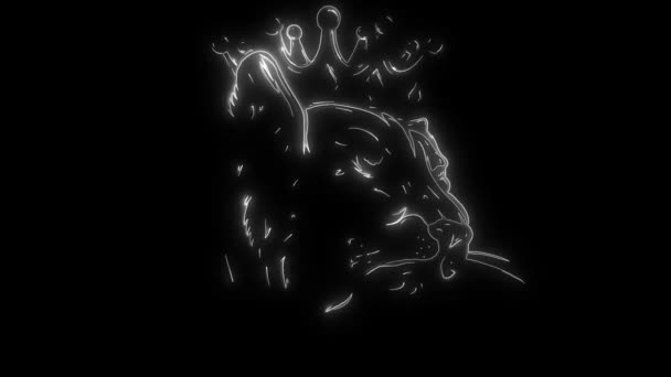 animation d'une panthère et qui s'allume 