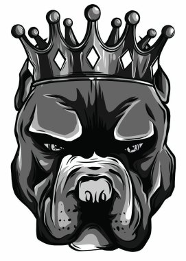 Beyaz bir arka planda altın bir taç içindeki pitbull köpeğinin kafasının vektör çizimi..