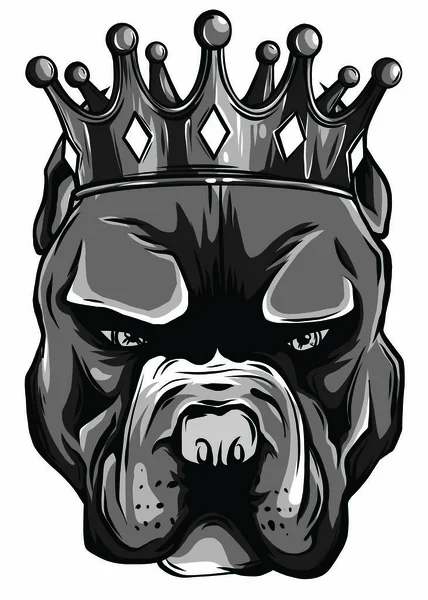 Vektor ilustrasi kepala anjing pit bull di mahkota emas, raja, di latar belakang putih. - Stok Vektor