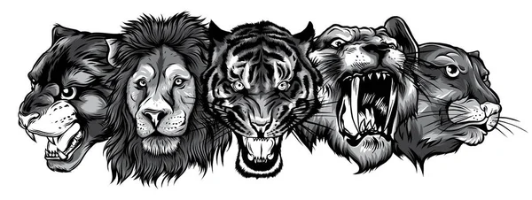 Monocromático Wild Animals Heads Set. Leão, Tigre, Jaguar, Lynx - Design de Logo Vector Mascote — Vetor de Stock