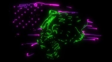 Neon tarzı ışıldayan Amerikan bayrağı taşıyan bir pumanın dijital animasyonu
