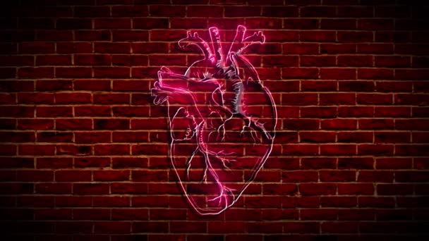 Cuore al neon sul muro di mattoni — Video Stock