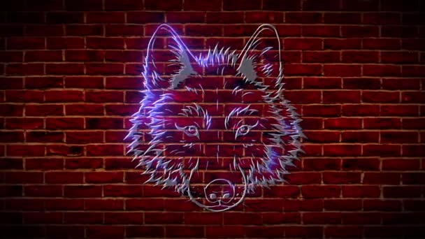 Signo de neón cabeza de lobo. Lobo salvaje púrpura emblema brillante. vídeo — Vídeo de stock