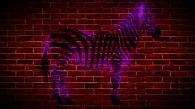 zebra dijital lazer animasyon videosu