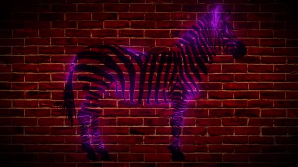 Zebra digital laser animação vídeo — Vídeo de Stock