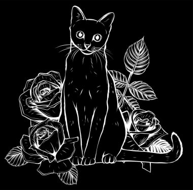 Siyah arkaplanda Vektör Rengi Kedi Gülleri Görünümü
