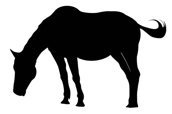 Silhouette of horse isolated on white background. — Stock Vector