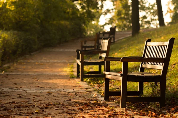 Höstens road med bänkar i stadsparken vid soluppgången. Brno Tjeckien. — Stockfoto