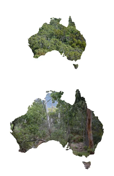 The bush  and landscapes in Australia, from a series of Australi — Stock Photo, Image