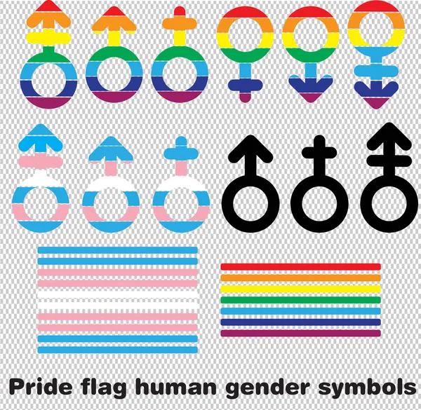 Bandeira Orgulho Símbolos Gênero — Vetor de Stock