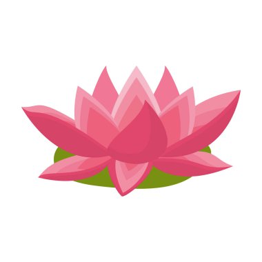 Lotus çiçeği. Pembe nilüfer çiçeği. vektör illüstrasyonu