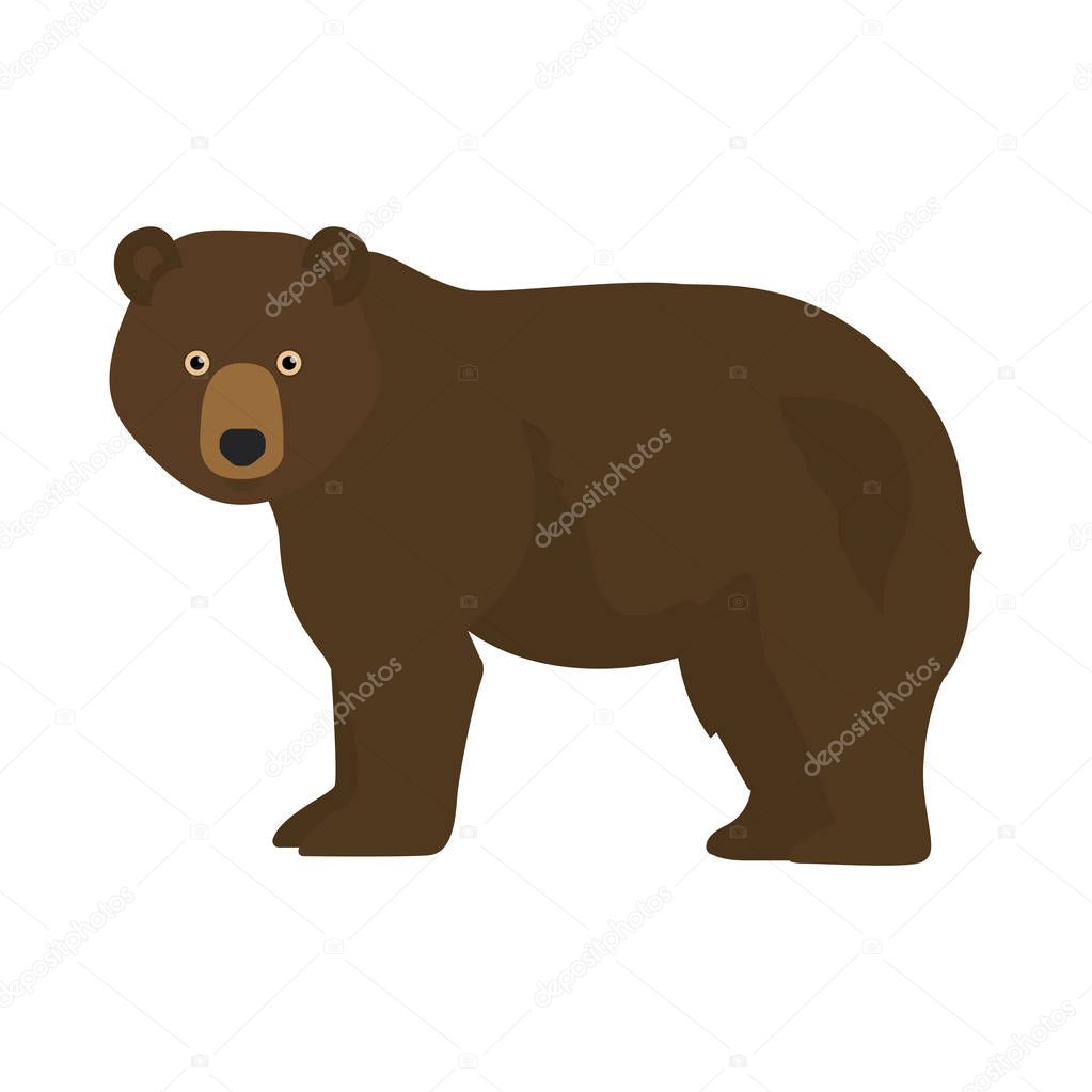 Brown bear, forest bear, grizzly bear. Cartoon vector illustration