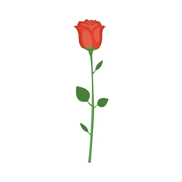 Rosa Vermelha Dos Desenhos Animados Ilustração Vetorial Para Dia Dos —  Vetores de Stock