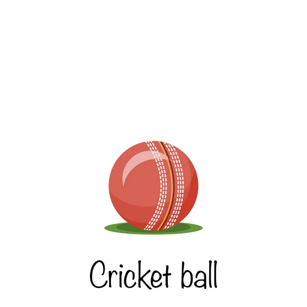 Cricket sports red game ball, vector illustration