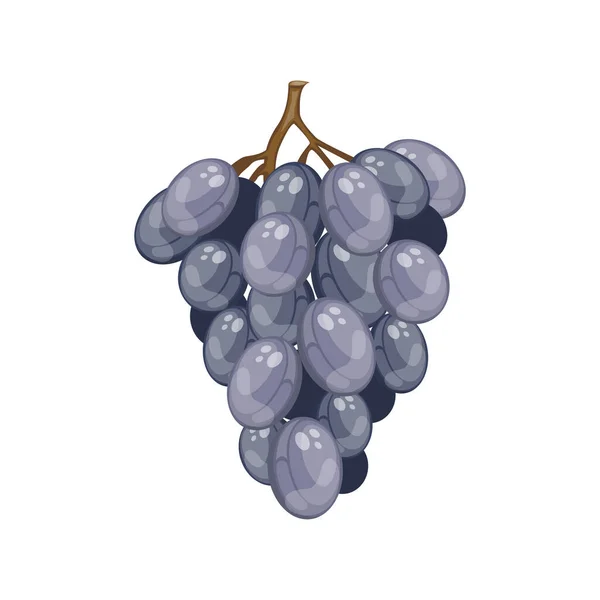 Cartoon Ripe Blue Grapes Branch — Stock Vector