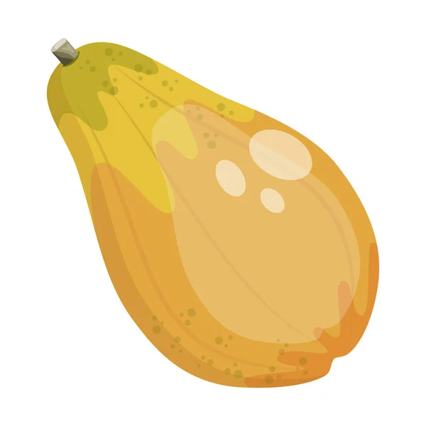 Cartoon Rijp Papaya Fruit Vector Illustratie — Stockvector