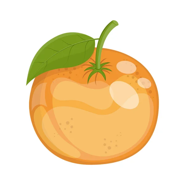 Desenhos Animados Fruta Cítrica Laranja Madura Ilustração Vetorial — Vetor de Stock