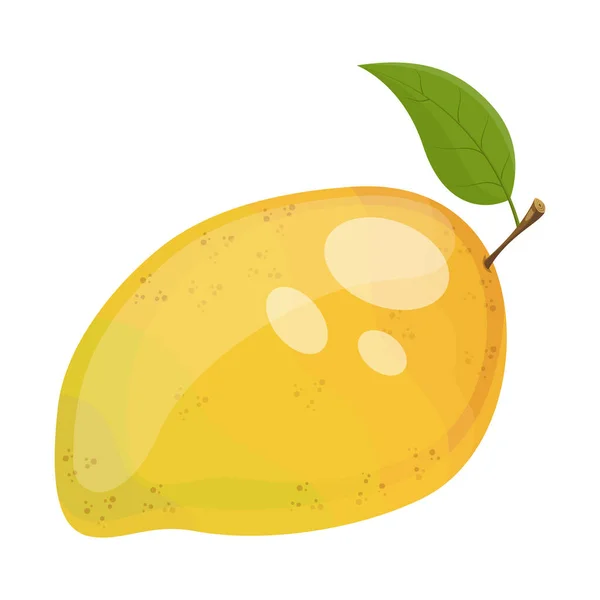 Tecknad Mogen Mango Frukt Vektor Illustration — Stock vektor