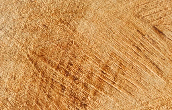 The texture of the cut tree on which you can see the thread from the saw — Stockfoto