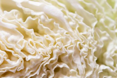 Pekin lahanasının yapısı bölüm, makro fotoğrafçılık..