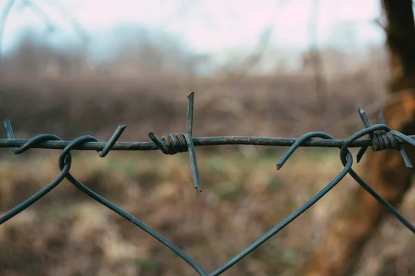 Barbed Wire Fence Field — Stock Photo, Image