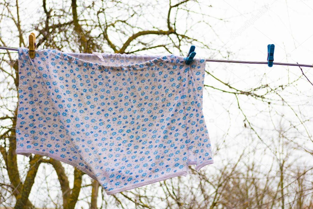 Women underpants on a clothesline, spring in the garden