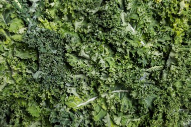 Taze lahana salatası.