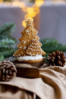 Kozalaklı zencefilli Noel ağacı