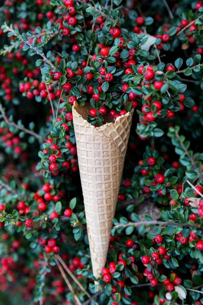 Cone de waffle para sorvete com bagas vermelhas — Fotografia de Stock