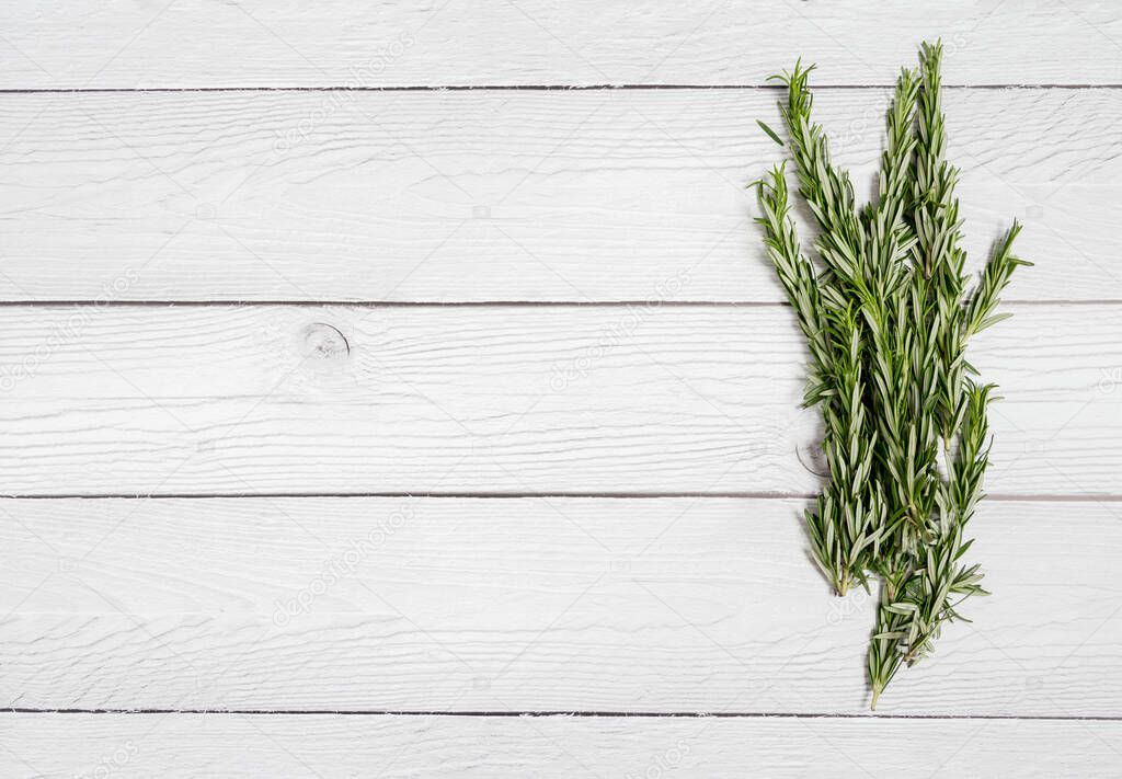 Copy space with rosemary bunch at white wood background. Top view, flat lay, lay out. Concept of ingredient of food. Summer picture of kitchen herbs