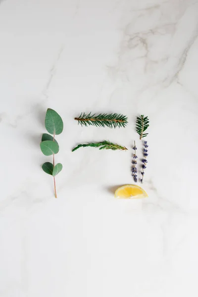 Minimal background with eucalyptus, lavender, lemon, green tree, fir at white background. Top view, flat lay, copy space for text. Concept of stylish minimal picture for greeting card