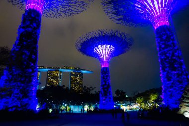 Singapur - 20 Mart 2018 Singapur Park 'taki Supertree Grove