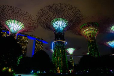 Singapur - 20 Mart 2018 Singapur Park 'taki Supertree Grove