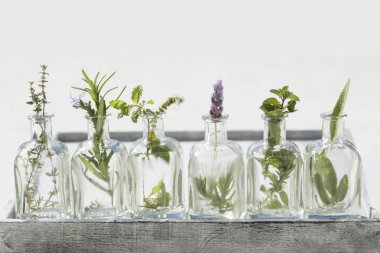 Önemli petrol otlar ile şişe