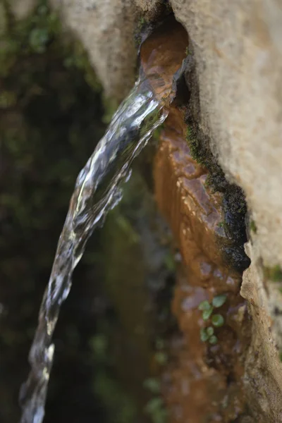 山の飲料水 — ストック写真