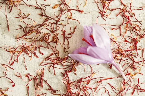 one saffron flower and a lot of drying saffron types