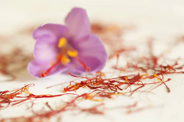 one saffron flower and a lot of drying saffron types