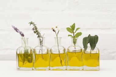 Lavanta çiçeği, kekik, biberiye, maydanoz çiçek ve beyaz duvar özünde petrol şişe fesleğen