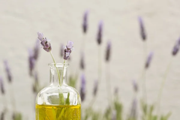 Etherische olie en lavendelbloemen — Stockfoto