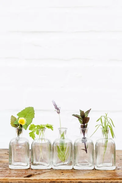 Flasche ätherisches Öl mit Kräutern Lavendelblüte, Löwenzahn, Petersilie, Estragon und Minze auf weißem Hintergrund — Stockfoto