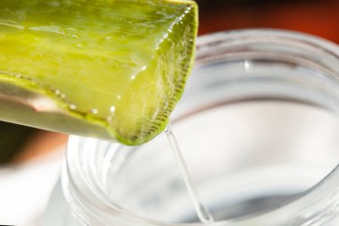 Aloe Vera (Aloe barbadensis Mill., Star Cactus, Aloe, Aloin, Jafferabad veya Barbados) cilt bakımı ve kaplıcalarda çok faydalı bir bitkisel ilaçtır..