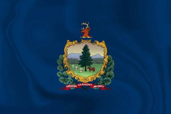 Waving Flag Vermont Dos Estados Unidos América Ilustração Waving Flag — Fotografia de Stock