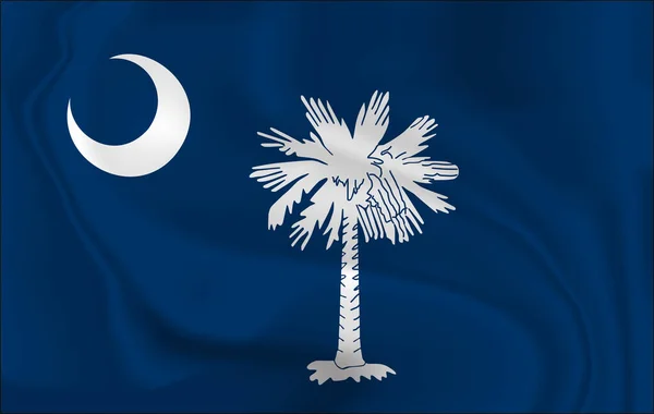 Lambaikan Bendera Carolina Selatan Adalah Negara Bagian Amerika Serikat Ilustrasi — Stok Foto