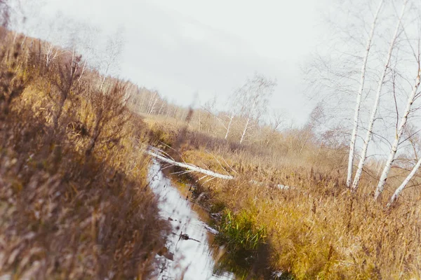 Pequeño Río Bosque Otoñal Cielo Gris Otoñal Con Clima Nublado —  Fotos de Stock