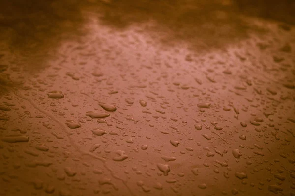 Gotas Água Manhã Pura Capô Ferro Carro — Fotografia de Stock