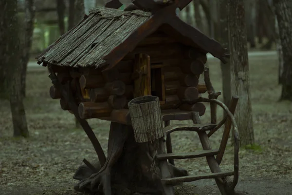 Vintage Bois Fabuleux Chalet Rétro Rondins Arbres Dans Ville Parc — Photo